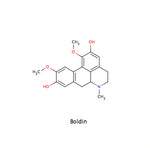 Boldin