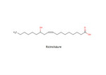 Ricinolsaeure
