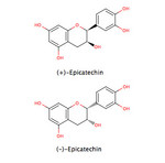 Epicatechin