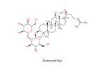 GinsenosidRg1