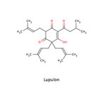 Lupulon