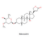 Odorosid A