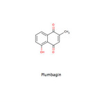 Plumbagin