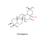 Primulagenin