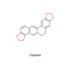 Coptisin